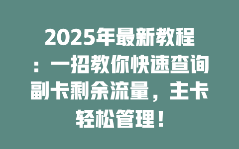 2025年最新教程：一招教你快速查询副卡剩余流量，主卡轻松管理！