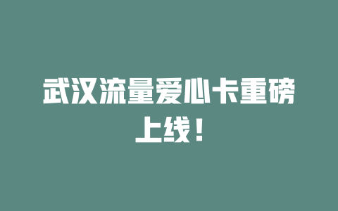 武汉流量爱心卡重磅上线！