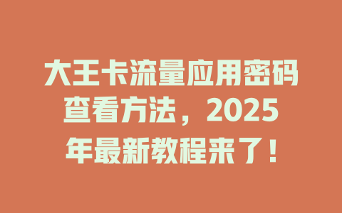 大王卡流量应用密码查看方法，2025年最新教程来了！