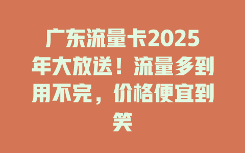 广东流量卡2025年大放送！流量多到用不完，价格便宜到笑
