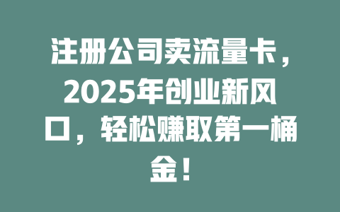 注册公司卖流量卡，2025年创业新风口，轻松赚取第一桶金！