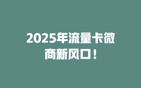 2025年流量卡微商新风口！