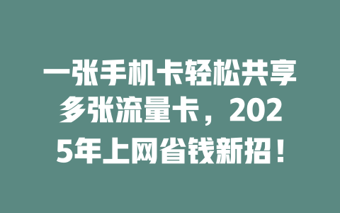一张手机卡轻松共享多张流量卡，2025年上网省钱新招！