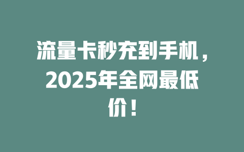 流量卡秒充到手机，2025年全网最低价！