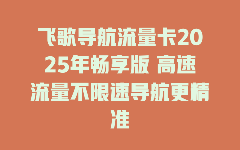 飞歌导航流量卡2025年畅享版 高速流量不限速导航更精准