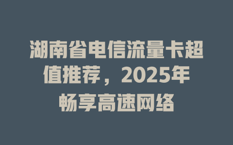 湖南省电信流量卡超值推荐，2025年畅享高速网络