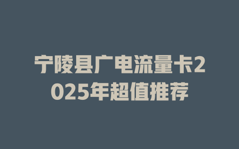 宁陵县广电流量卡2025年超值推荐