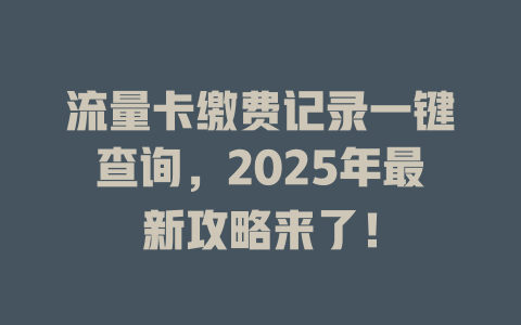 流量卡缴费记录一键查询，2025年最新攻略来了！