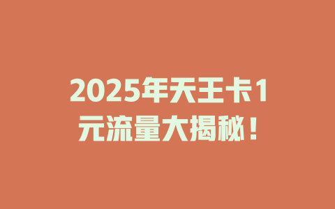 2025年天王卡1元流量大揭秘！