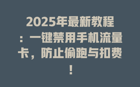 2025年最新教程：一键禁用手机流量卡，防止偷跑与扣费！