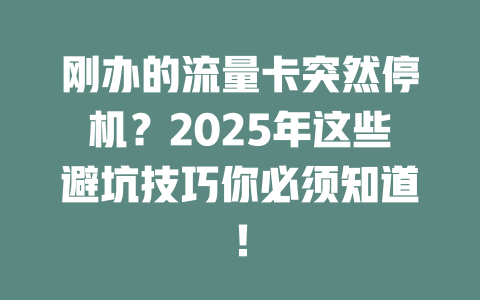 刚办的流量卡突然停机？2025年这些避坑技巧你必须知道！