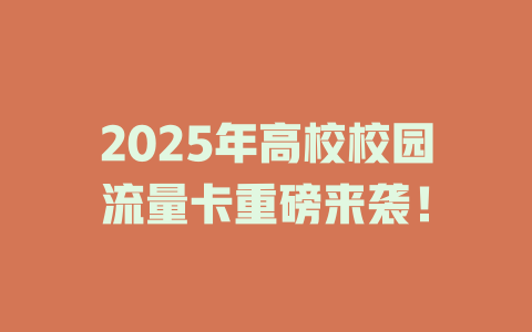 2025年高校校园流量卡重磅来袭！