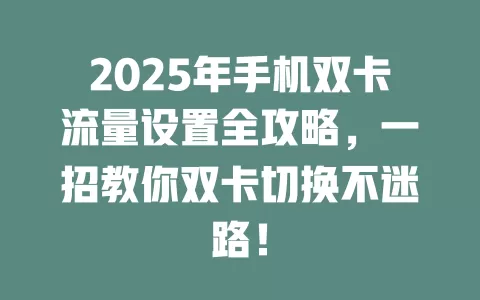 2025年手机双卡流量设置全攻略，一招教你双卡切换不迷路！