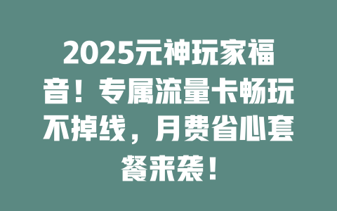 2025元神玩家福音！专属流量卡畅玩不掉线，月费省心套餐来袭！
