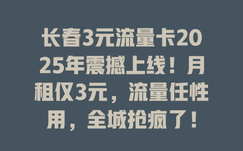长春3元流量卡2025年震撼上线！月租仅3元，流量任性用，全城抢疯了！