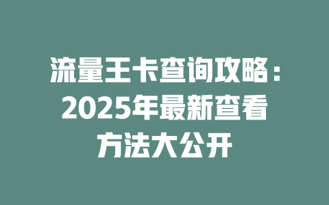 流量王卡查询攻略：2025年最新查看方法大公开