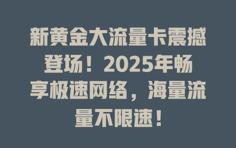 新黄金大流量卡震撼登场！2025年畅享极速网络，海量流量不限速！