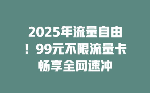 2025年流量自由！99元不限流量卡畅享全网速冲