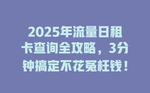 2025年流量日租卡查询全攻略，3分钟搞定不花冤枉钱！