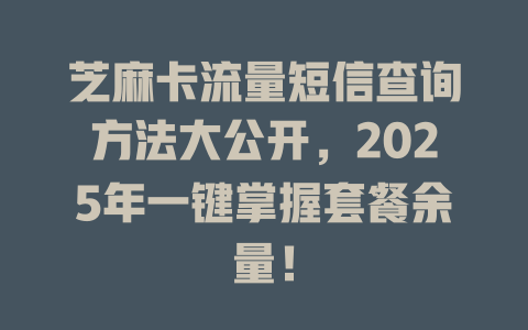 芝麻卡流量短信查询方法大公开，2025年一键掌握套餐余量！