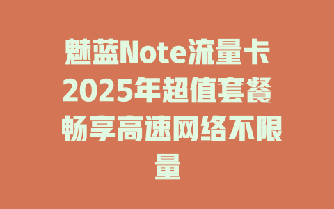 魅蓝Note流量卡2025年超值套餐 畅享高速网络不限量