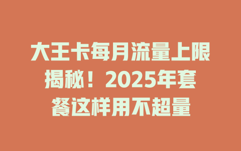 大王卡每月流量上限揭秘！2025年套餐这样用不超量