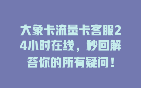 大象卡流量卡客服24小时在线，秒回解答你的所有疑问！