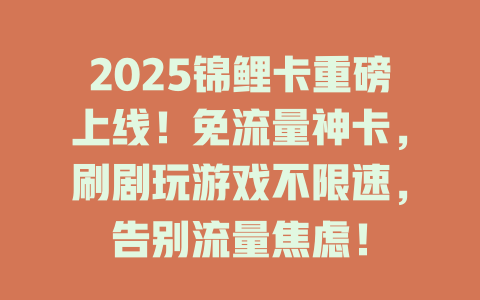 2025锦鲤卡重磅上线！免流量神卡，刷剧玩游戏不限速，告别流量焦虑！