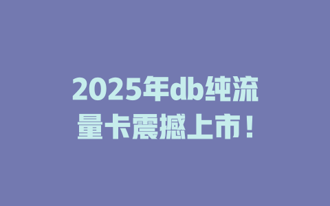 2025年db纯流量卡震撼上市！
