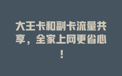 大王卡和副卡流量共享，全家上网更省心！
