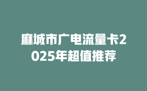 麻城市广电流量卡2025年超值推荐