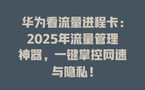 华为看流量进程卡：2025年流量管理神器，一键掌控网速与隐私！