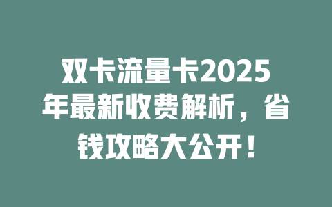 双卡流量卡2025年最新收费解析，省钱攻略大公开！