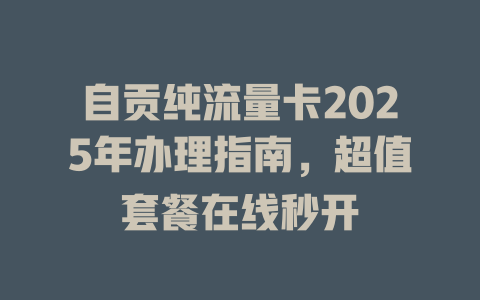 自贡纯流量卡2025年办理指南，超值套餐在线秒开