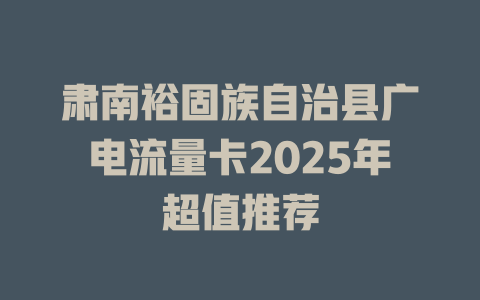 肃南裕固族自治县广电流量卡2025年超值推荐
