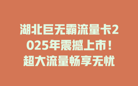 湖北巨无霸流量卡2025年震撼上市！超大流量畅享无忧