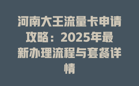 河南大王流量卡申请攻略：2025年最新办理流程与套餐详情