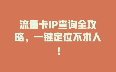 流量卡IP查询全攻略，一键定位不求人！