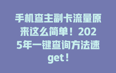 手机查主副卡流量原来这么简单！2025年一键查询方法速get！