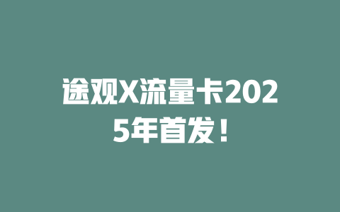 途观X流量卡2025年首发！
