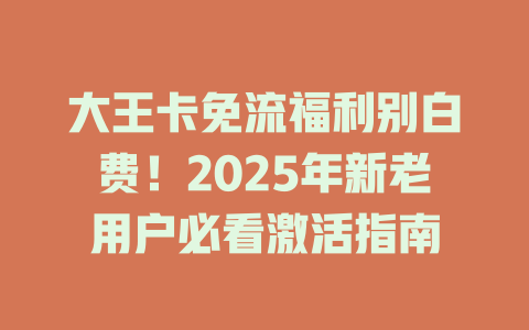 大王卡免流福利别白费！2025年新老用户必看激活指南