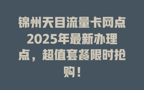 锦州天目流量卡网点2025年最新办理点，超值套餐限时抢购！