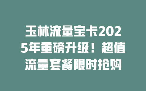 玉林流量宝卡2025年重磅升级！超值流量套餐限时抢购