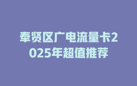 奉贤区广电流量卡2025年超值推荐