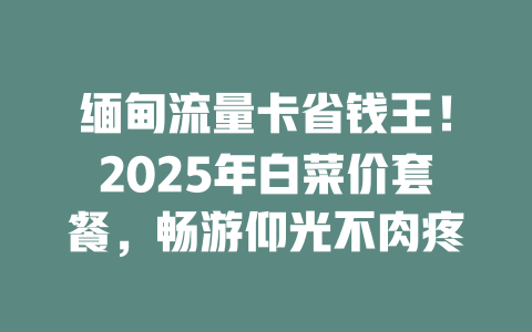 缅甸流量卡省钱王！2025年白菜价套餐，畅游仰光不肉疼