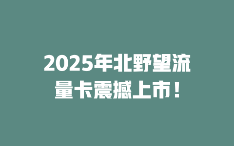 2025年北野望流量卡震撼上市！