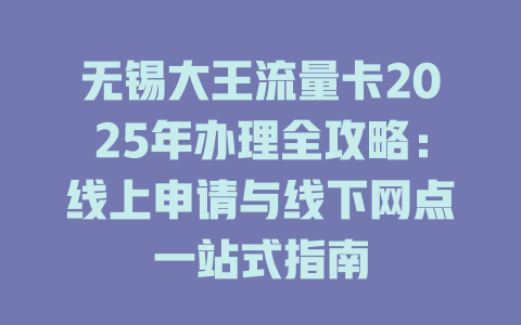 无锡大王流量卡2025年办理全攻略：线上申请与线下网点一站式指南