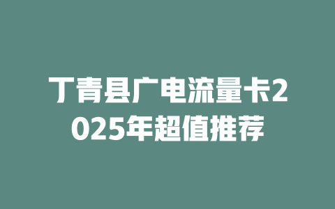 丁青县广电流量卡2025年超值推荐