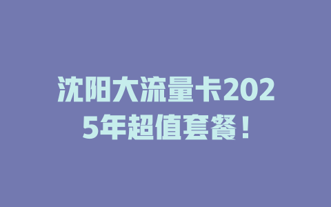 沈阳大流量卡2025年超值套餐！