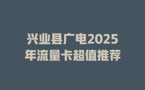 兴业县广电2025年流量卡超值推荐